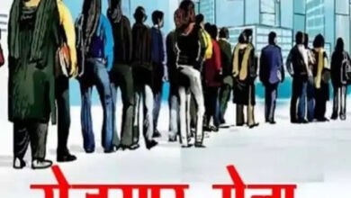 रायपुर में दिव्यांगजनों के लिए रोजगार का मौका, फ्लिपकार्ट में 30 पदों पर भर्ती