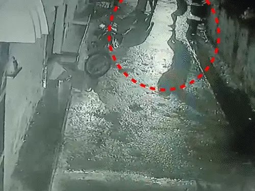 कवर्धा में बुजुर्ग दंपती से मारपीट का आरोप, भाजपा नेत्री समेत तीन पर FIR; लकवाग्रस्त पिता को नाली में फेंकने का दावा