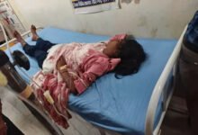 सारंगढ़ में श्रद्धालुओं से भरी पिकअप को ट्रक ने मारी टक्कर, 2 की मौत; 15 घायल