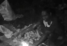 जंगल में मवेशी काटने की सूचना पर पुलिस की दबिश, 8 आरोपी गिरफ्तार; एक फरार