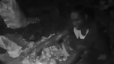 जंगल में मवेशी काटने की सूचना पर पुलिस की दबिश, 8 आरोपी गिरफ्तार; एक फरार