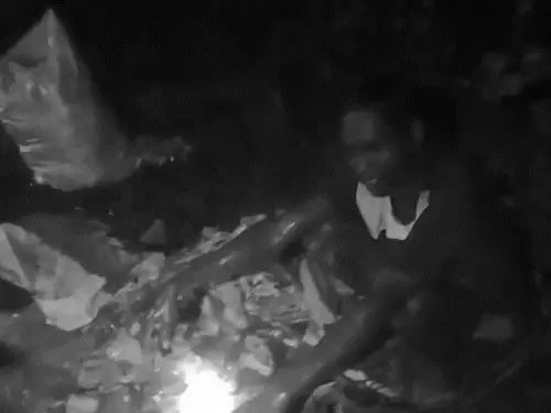 जंगल में मवेशी काटने की सूचना पर पुलिस की दबिश, 8 आरोपी गिरफ्तार; एक फरार जंगल में मवेशी काटने की सूचना पर पुलिस की दबिश, 8 आरोपी गिरफ्तार; एक फरार