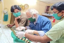 नाग पंचमी पर डॉक्टर की अनोखी इंसानियत: मृतप्राय अहिराज की टूटी रीढ़ जोड़ी, स्टील वायर से किया सफल ऑपरेशन