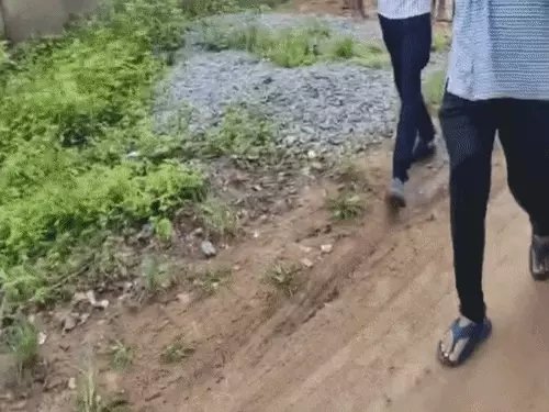 गरियाबंद में पत्नी के मायके जाने से भड़का पति, पड़ोसी की कुल्हाड़ी से हत्या; 7 घंटे की मशक्कत के बाद गिरफ्तार गरियाबंद में पत्नी के मायके जाने से भड़का पति, पड़ोसी की कुल्हाड़ी से हत्या; 7 घंटे की मशक्कत के बाद गिरफ्तार