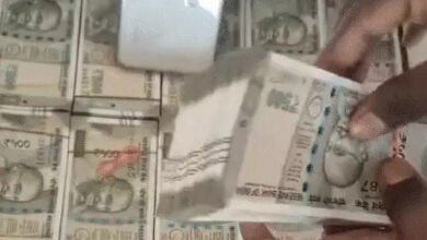 45 करोड़ के निवेश का झांसा देकर 1.13 करोड़ की ठगी, नागपुर से दो महिलाएं गिरफ्तार