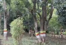 शहीद वाटिका में पत्थरों पर दर्ज है बलिदान की गाथा, 1,429 जवानों की यादों को पेड़-पौधों और डिजिटल डिस्प्ले ने संजोया