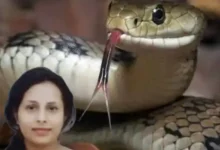 बिलासपुर सर्पदंश मुआवजा घोटाले की EOW जांच की तैयारी, DGP बोले- मामला गंभीर, विशेषज्ञ एजेंसी को सौंपने का प्रस्ताव