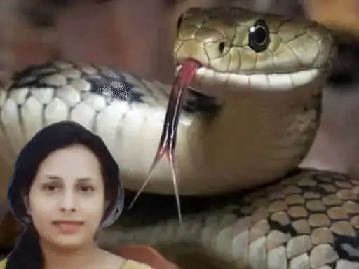 बिलासपुर सर्पदंश मुआवजा घोटाले की EOW जांच की तैयारी, DGP बोले- मामला गंभीर, विशेषज्ञ एजेंसी को सौंपने का प्रस्ताव