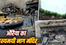 टूटी मूर्तियां, बिन छत का मंदिर…साल में सिर्फ नाग पंचमी पर होती है पूजा