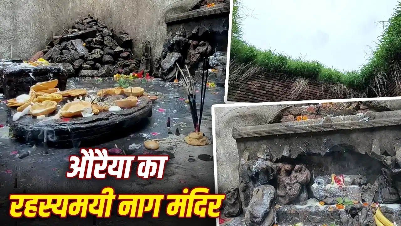 टूटी मूर्तियां, बिन छत का मंदिर…साल में सिर्फ नाग पंचमी पर होती है पूजा टूटी मूर्तियां, बिन छत का मंदिर…साल में सिर्फ नाग पंचमी पर होती है पूजा