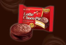 दुर्ग में Lotte Choco Pie का एक बैच असुरक्षित घोषित, बिक्री-भंडारण पर तत्काल रोक