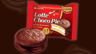दुर्ग में Lotte Choco Pie का एक बैच असुरक्षित घोषित, बिक्री-भंडारण पर तत्काल रोक