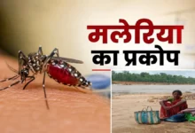 कांकेर में मलेरिया का बढ़ता प्रकोप, इलाज के लिए उफनती नदी पार करने को मजबूर ग्रामीण