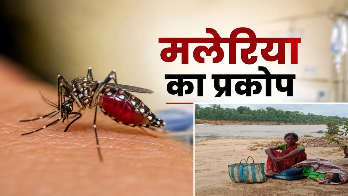 कांकेर में मलेरिया का बढ़ता प्रकोप, इलाज के लिए उफनती नदी पार करने को मजबूर ग्रामीण