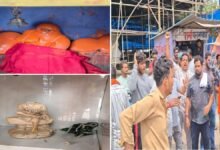गुढ़ियारी थोक मार्केट में धार्मिक स्थल पर तोड़फोड़: शिव-हनुमान और साईं बाबा की प्रतिमाएं क्षतिग्रस्त; भारी पुलिस बल तैनात