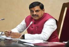 रायसेन के बासमती की दुनिया में धूम! 47 देशों तक पहुंचा चावल, CM मोहन यादव ने किसानों की मेहनत को सराहा