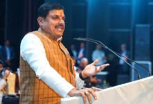 जंगलों पर माफिया के कब्जे पर CM मोहन का बड़ा एक्शन, MP में 14 लाख एकड़ वन भूमि अतिक्रमण के घेरे में