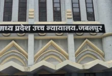 पर्यावरण की चिंता में याचिका दाखिल करना पड़ा भारी!, हाईकोर्ट ने कहा- पहले आप लगाएं 25 पौधे और पेश करें रिपोर्ट