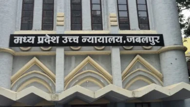 पर्यावरण की चिंता में याचिका दाखिल करना पड़ा भारी!, हाईकोर्ट ने कहा- पहले आप लगाएं 25 पौधे और पेश करें रिपोर्ट