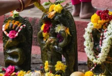 नाग पंचमी पर इन 8 नागों की होती है पूजा, जानें जानें धार्मिक मान्यता