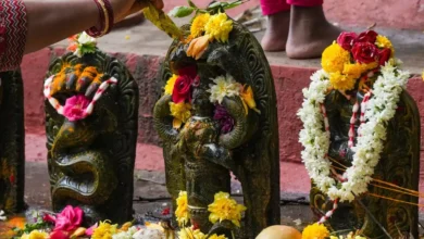 नाग पंचमी पर इन 8 नागों की होती है पूजा, जानें जानें धार्मिक मान्यता