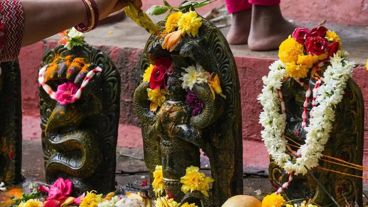 नाग पंचमी पर इन 8 नागों की होती है पूजा, जानें जानें धार्मिक मान्यता नाग पंचमी पर इन 8 नागों की होती है पूजा, जानें जानें धार्मिक मान्यता