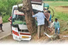 मवेशी को बचाने में बेकाबू हुई बस, पेड़ से टकराई; 15 से ज्यादा यात्री घायल