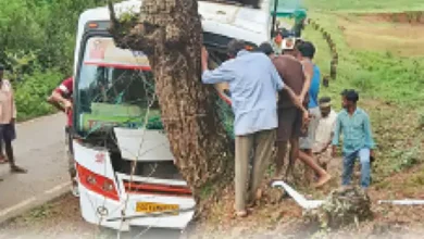 मवेशी को बचाने में बेकाबू हुई बस, पेड़ से टकराई; 15 से ज्यादा यात्री घायल