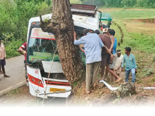 मवेशी को बचाने में बेकाबू हुई बस, पेड़ से टकराई; 15 से ज्यादा यात्री घायल