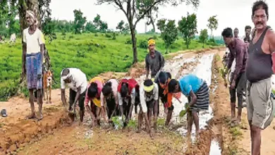 सड़क अधूरी छोड़ भागा ठेकेदार, नाराज ग्रामीणों ने कीचड़ भरी सड़क पर की धान की रोपाई सड़क अधूरी छोड़ भागा ठेकेदार, नाराज ग्रामीणों ने कीचड़ भरी सड़क पर की धान की रोपाई