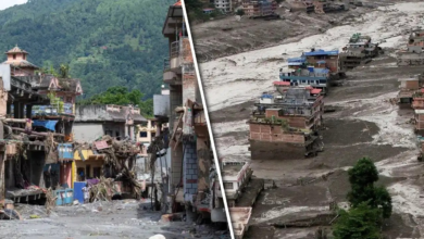 मौत के आंकड़ों पर चीन का झूठ! नेपाल में 600 से ज्यादा तो तिब्बत में कैसे सिर्फ 7 लोगों की गई जान? मौत के आंकड़ों पर चीन का झूठ! नेपाल में 600 से ज्यादा तो तिब्बत में कैसे सिर्फ 7 लोगों की गई जान?