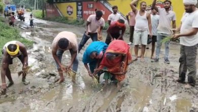 जलजमाव और गड्ढों से टूटा सब्र का बांध… सड़क पर ही रोप दी धान, भागलपुर में अनोखा विरोध प्रदर्शन