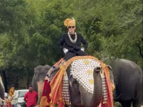 62 लाख की ज्वेलरी पहनकर हाथी ने रैंप-वॉक किया:जयपुर में 21 हाथियों का फैशन शो, सूंड से काटा केक, फलों की दावत की