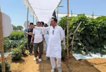 बीकॉम के बाद खेती में उतरे राजपरिवार के सदस्य, 40 एकड़ में खड़ा किया जैविक खेती और डेयरी का मॉडल