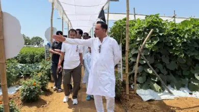 बीकॉम के बाद खेती में उतरे राजपरिवार के सदस्य, 40 एकड़ में खड़ा किया जैविक खेती और डेयरी का मॉडल