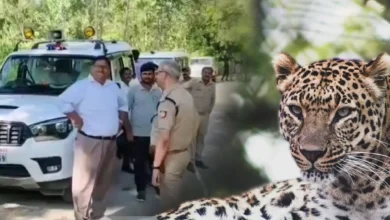 12 लोगों को किया घायल, एक महिला की मौत… मुरादाबाद में खूंखार तेंदुओं का खूनी तांडव! 12 लोगों को किया घायल, एक महिला की मौत… मुरादाबाद में खूंखार तेंदुओं का खूनी तांडव!