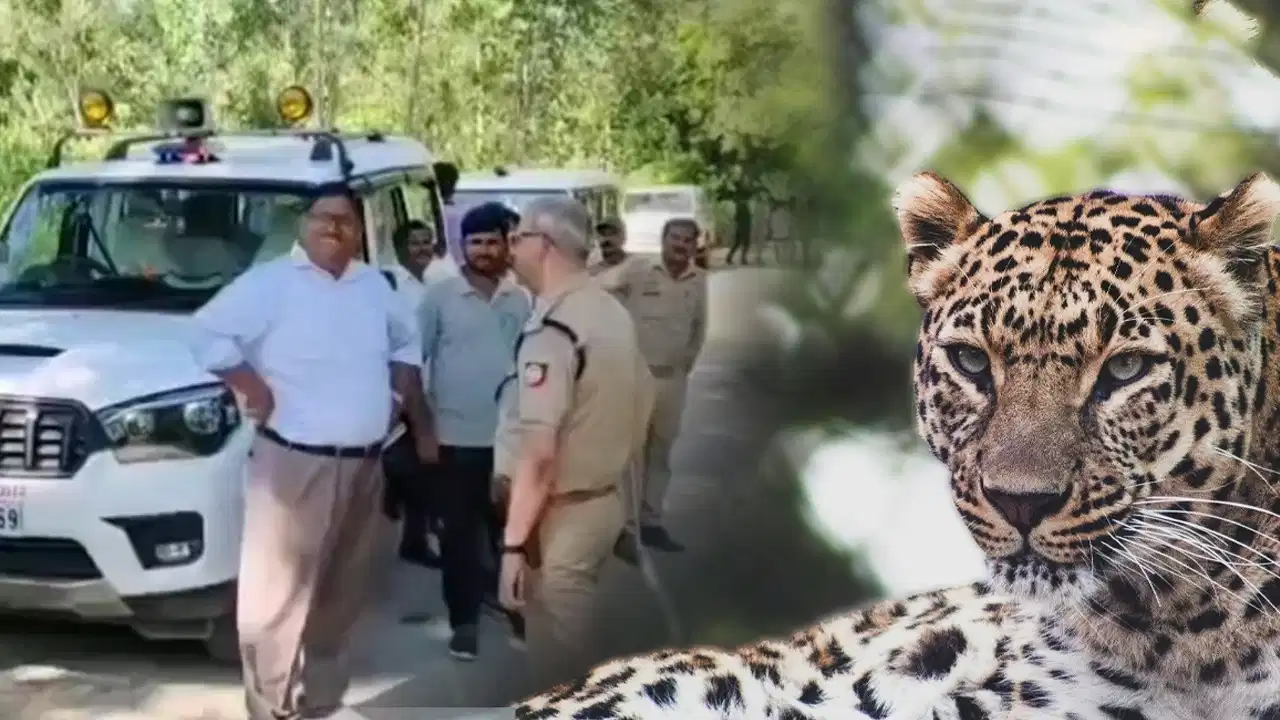 12 लोगों को किया घायल, एक महिला की मौत… मुरादाबाद में खूंखार तेंदुओं का खूनी तांडव! 12 लोगों को किया घायल, एक महिला की मौत… मुरादाबाद में खूंखार तेंदुओं का खूनी तांडव!