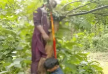 जंगल में एक ही फंदे पर लटके मिले युवक-युवती के शव : बाइक से पहुंचे थे दोनों, युवती की पहचान अब तक नहीं