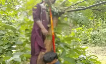 जंगल में एक ही फंदे पर लटके मिले युवक-युवती के शव : बाइक से पहुंचे थे दोनों, युवती की पहचान अब तक नहीं