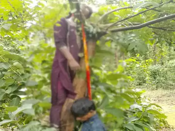 जंगल में एक ही फंदे पर लटके मिले युवक-युवती के शव : बाइक से पहुंचे थे दोनों, युवती की पहचान अब तक नहीं