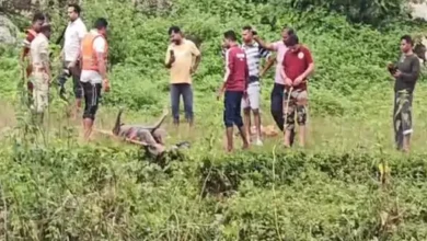 मैनपाट में बाइक से नदी पार करने की कोशिश के दौरान हादसा, स्थानीय युवक ने युवती को रस्सी से बचाया