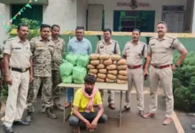 बस्तर में 56 किलो गांजा जब्त, दो तस्कर गिरफ्तार; कीमत 28 लाख रुपए से ज्यादा
