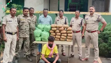 बस्तर में 56 किलो गांजा जब्त, दो तस्कर गिरफ्तार; कीमत 28 लाख रुपए से ज्यादा