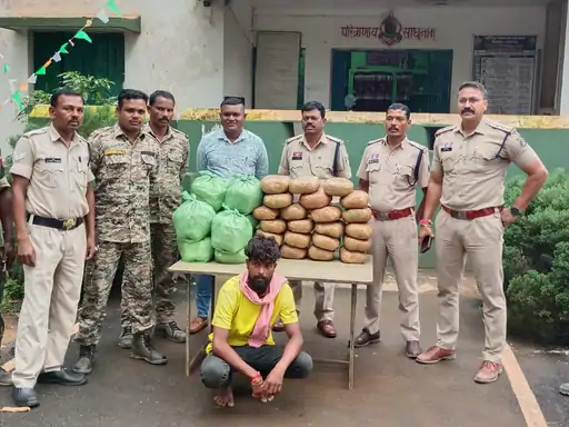 बस्तर में 56 किलो गांजा जब्त, दो तस्कर गिरफ्तार; कीमत 28 लाख रुपए से ज्यादा बस्तर में 56 किलो गांजा जब्त, दो तस्कर गिरफ्तार; कीमत 28 लाख रुपए से ज्यादा