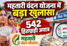 महतारी वंदन योजना में 542 हितग्राही अपात्र मिले, विभाग ने 30 लाख रुपए की वसूली की