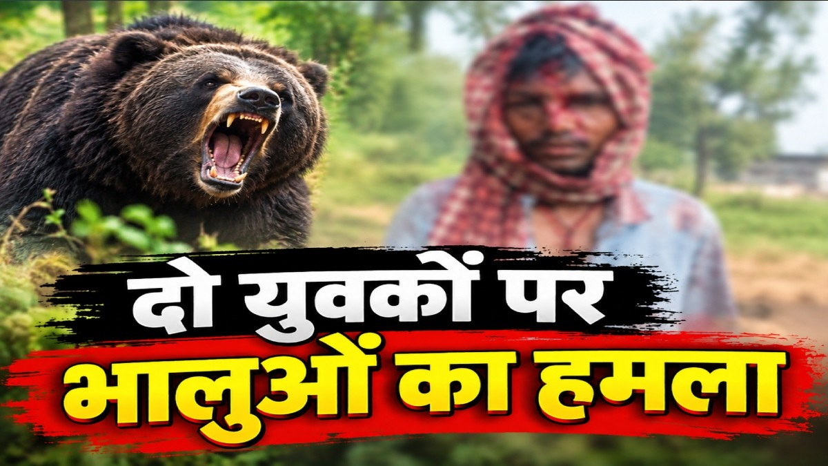 जंगल में 4 भालुओं ने दो युवकों को घेरा, हमले में एक गंभीर रूप से घायल