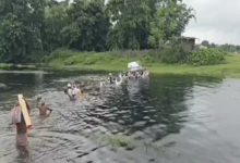 सिर के ऊपर पानी में जनाजा ले जा रहे ग्रामीण;VIDEO:किशनगंज में खकुआ नदी पर पुल बनवाने की मांग, जान जोखिम में डालकर शमशान जाते है लोग