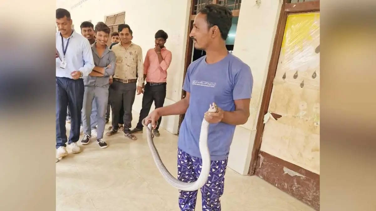 सांप के रेस्क्यू के दौरान स्नेक कैचर को डसा, इलाज के दौरान मौत