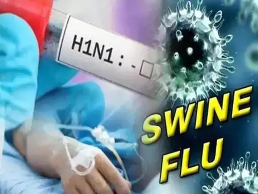 दुर्ग में H1N1 का बढ़ा खतरा, 17 मरीज मिले; 9 एक्टिव केस, 7 अस्पताल में भर्ती दुर्ग में H1N1 का बढ़ा खतरा, 17 मरीज मिले; 9 एक्टिव केस, 7 अस्पताल में भर्ती