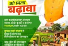 विशेष लेख : आधुनिक और नगदी फसलों की खेती ने बदली छत्तीसगढ़ के किसानों की तकदीर
